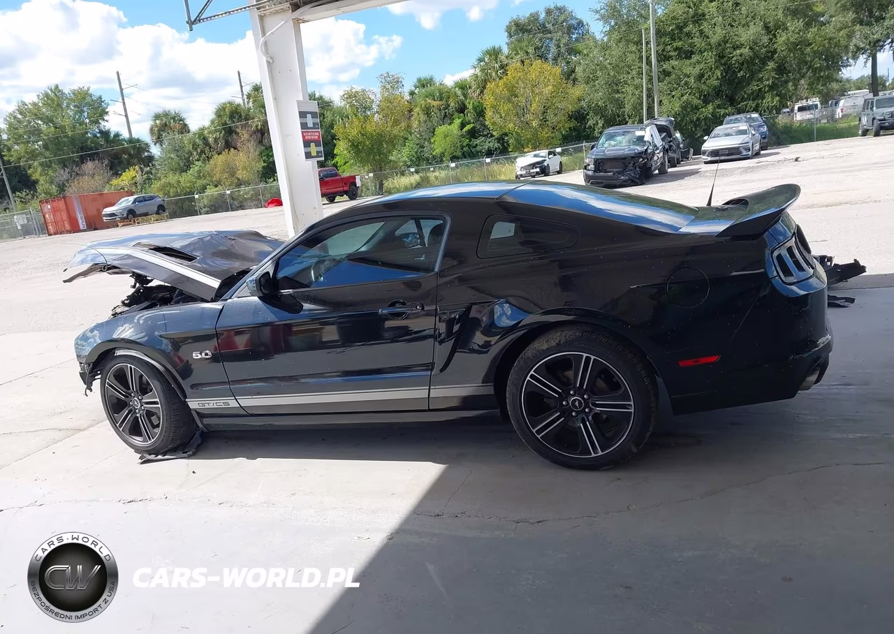 2014 Ford Mustang Gt Premium VIN:1ZVBP8CFXE5271707 - 14