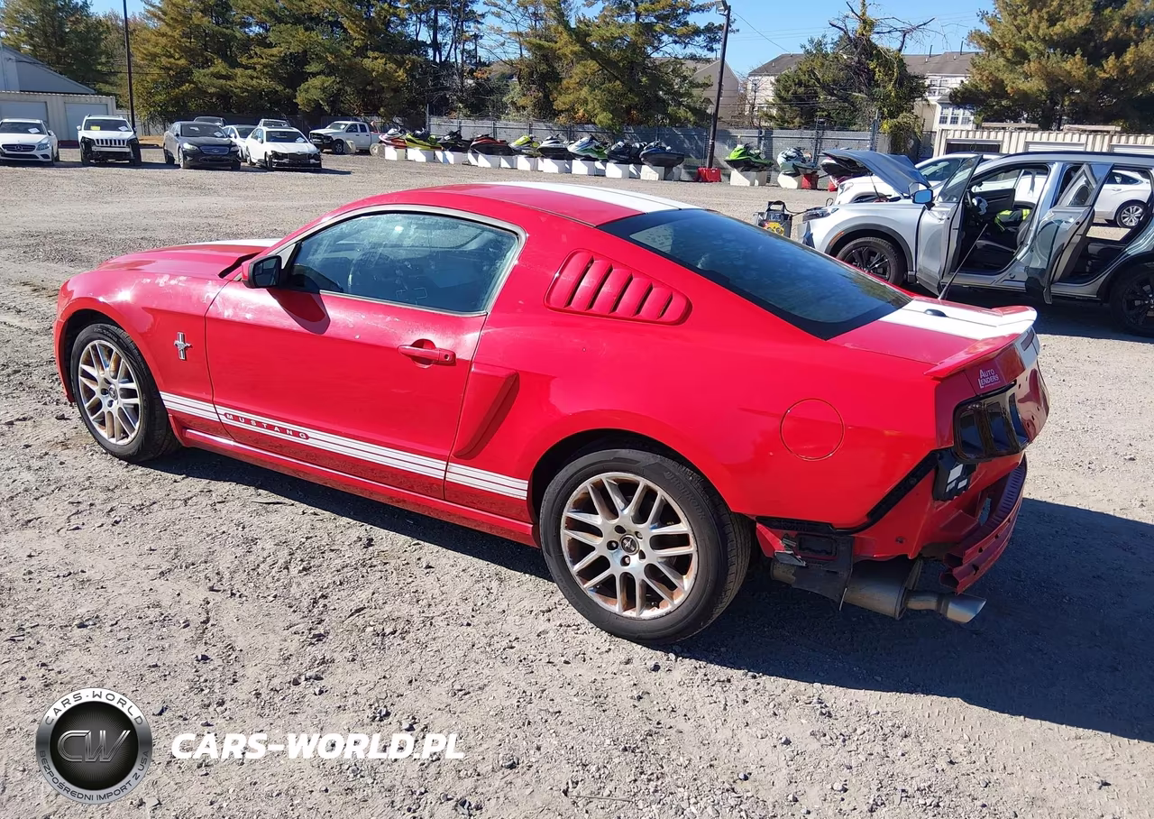 2014 Ford Mustang V6 Premium VIN:1ZVBP8AM6E5248975 - 3