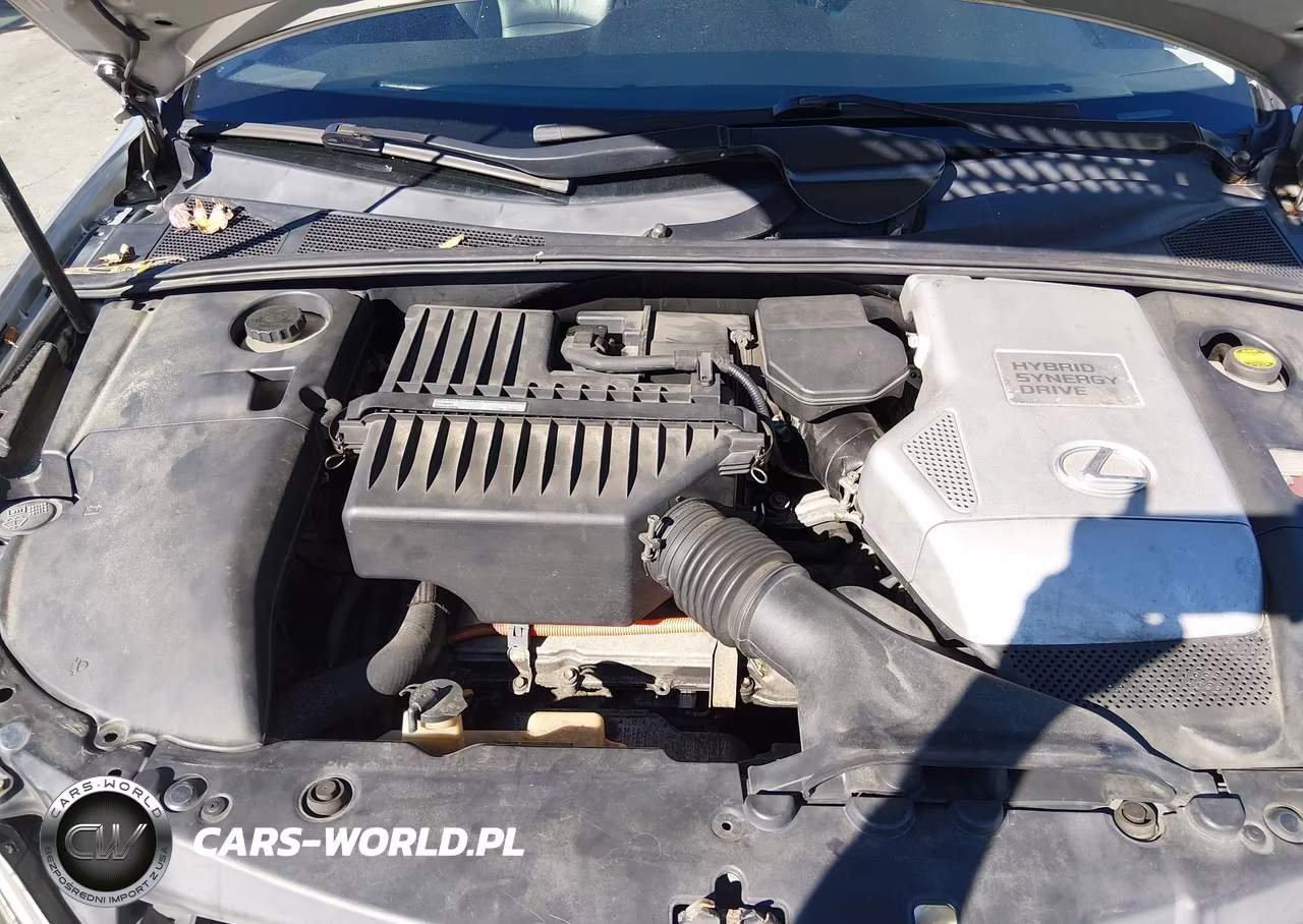 2006 Lexus Rx 400H VIN:JTJHW31U560007696 - 10