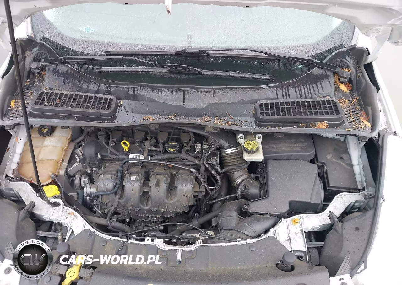 2014 Ford Escape Se VIN:1FMCU0G9XEUB01404 - 10
