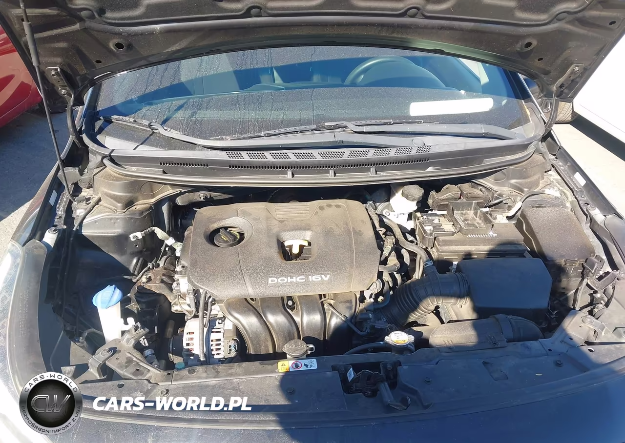 2017 Kia Forte Lx VIN:3KPFK4A70HE157845 - 10
