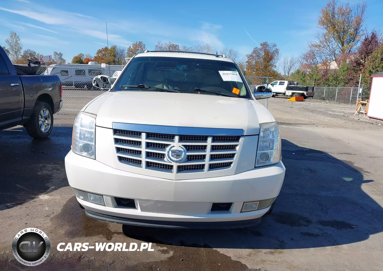 2010 Cadillac Escalade Ext Premium VIN:3GYVKNEF3AG145616 - 12