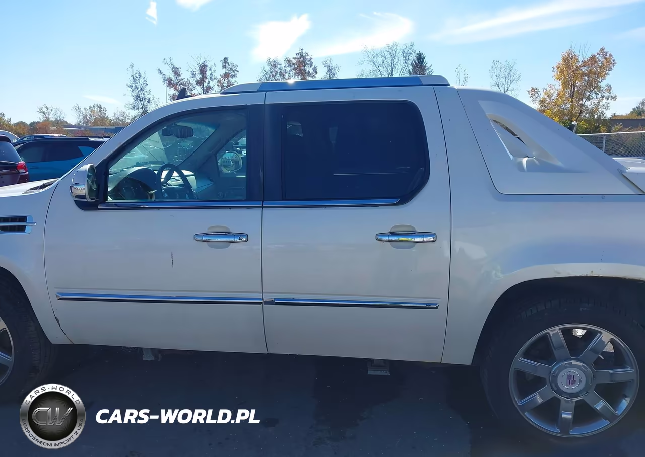 2010 Cadillac Escalade Ext Premium VIN:3GYVKNEF3AG145616 - 14