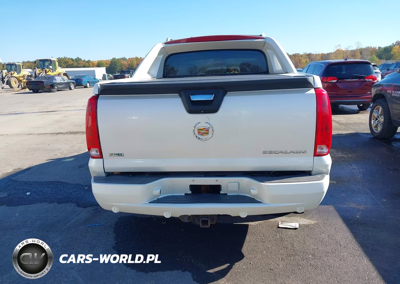 2010 Cadillac Escalade Ext Premium VIN:3GYVKNEF3AG145616 - 16