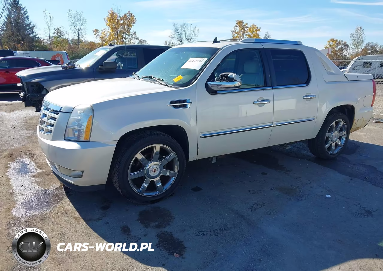 2010 Cadillac Escalade Ext Premium VIN:3GYVKNEF3AG145616 - 2