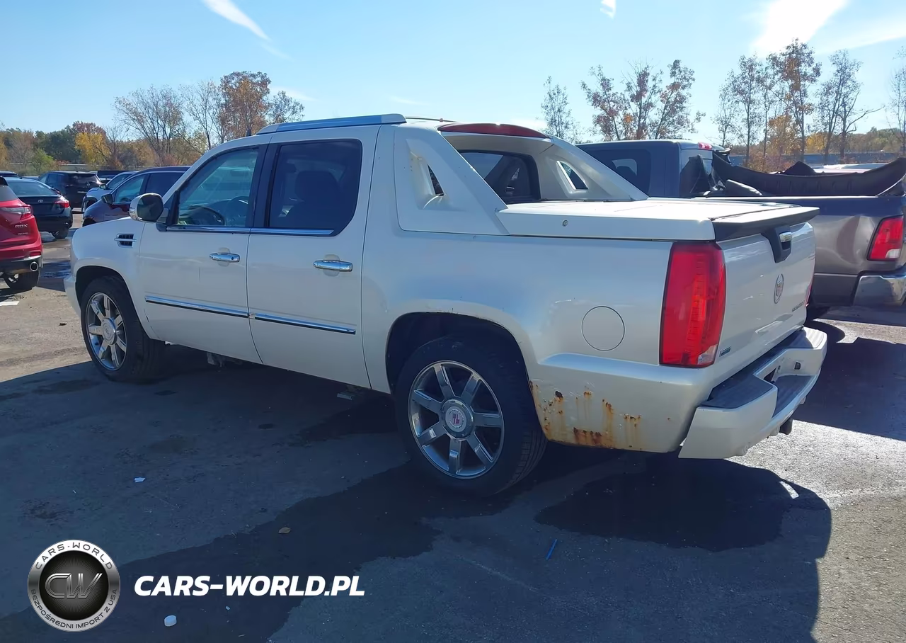 2010 Cadillac Escalade Ext Premium VIN:3GYVKNEF3AG145616 - 3