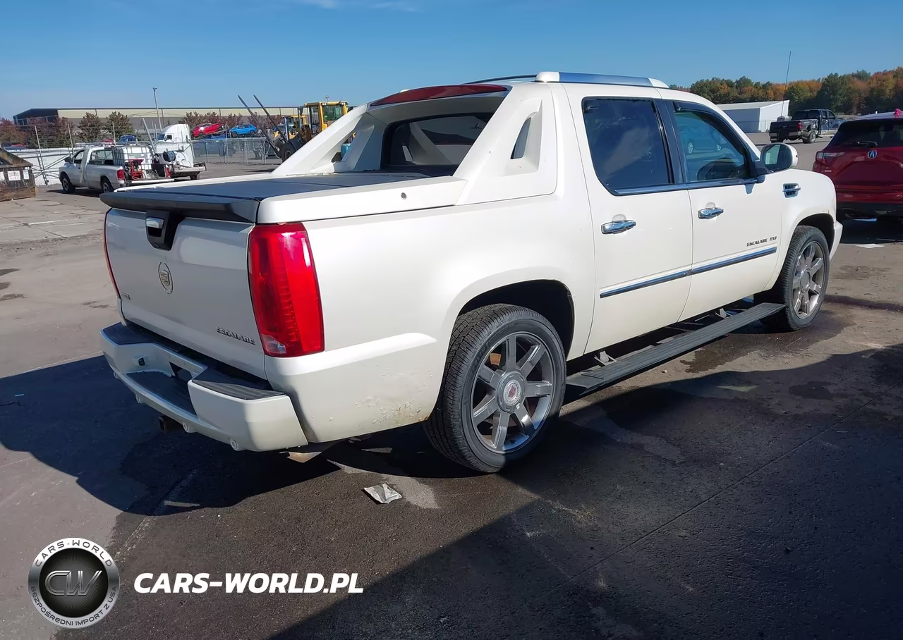 2010 Cadillac Escalade Ext Premium VIN:3GYVKNEF3AG145616 - 4