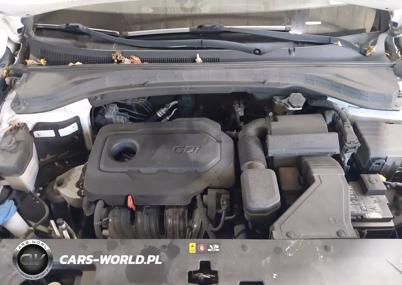 2019 Hyundai Santa Fe Se VIN:5NMS2CAD8KH076056 - 10