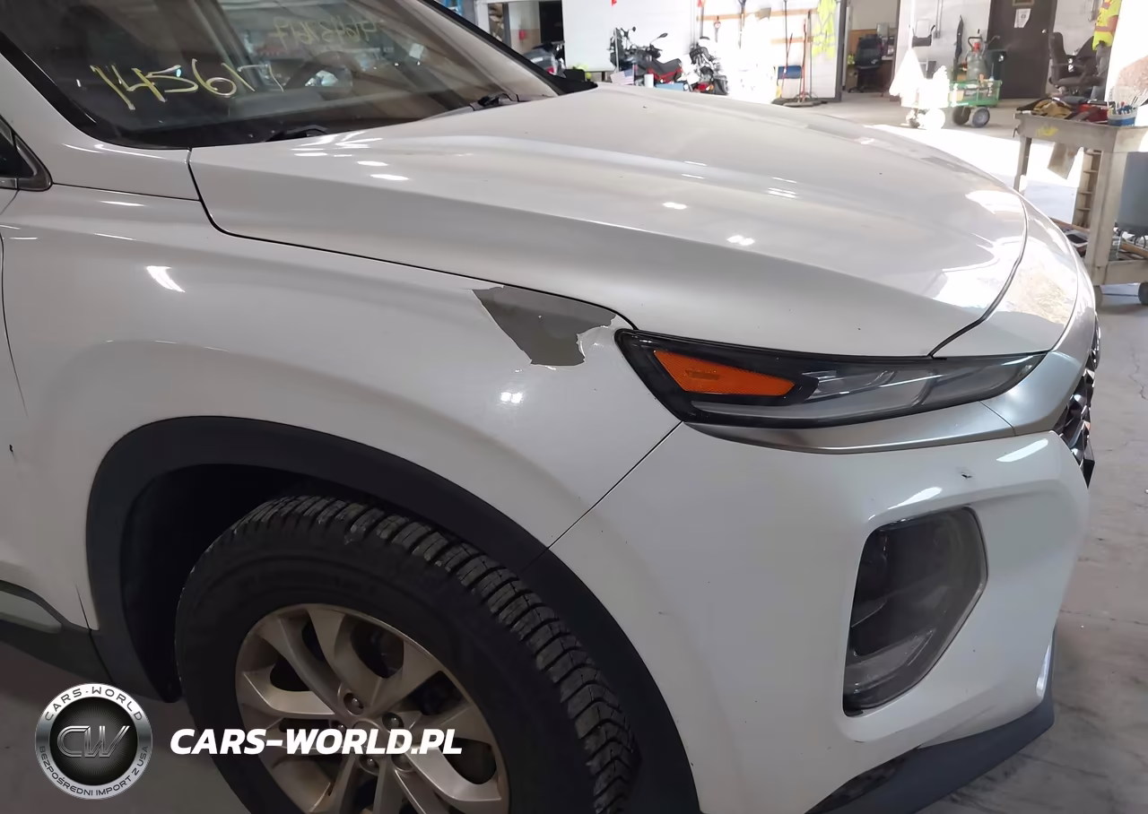 2019 Hyundai Santa Fe Se VIN:5NMS2CAD8KH076056 - 17
