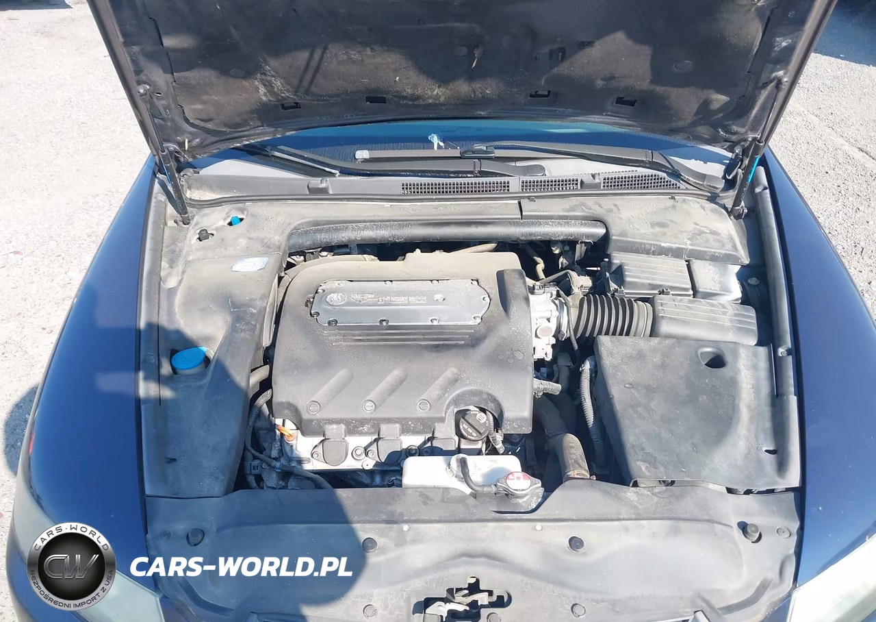 2006 Acura Tl VIN:19UUA66286A067878 - 10