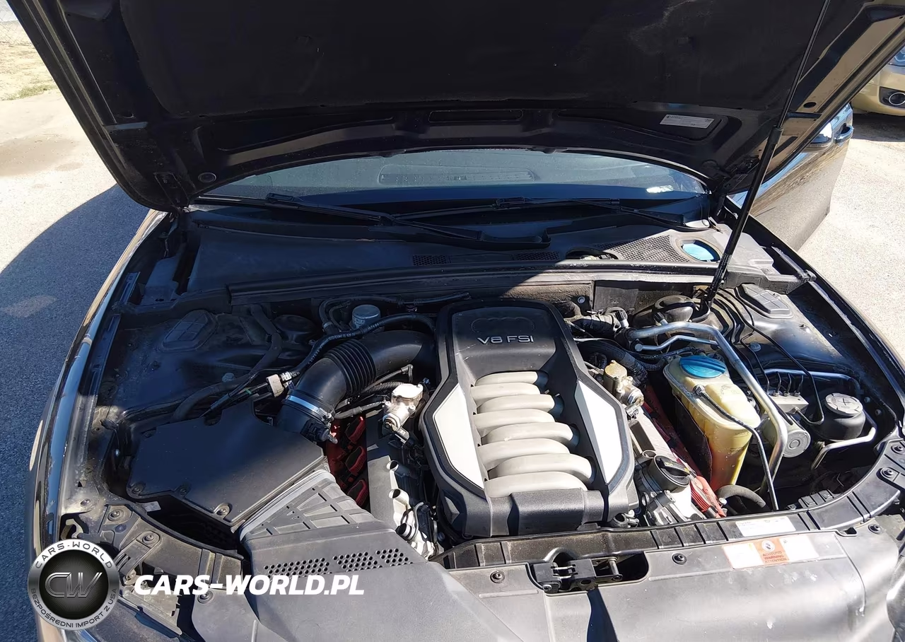 2009 Audi S5 4.2L VIN:WAURV78T09A043368 - 10