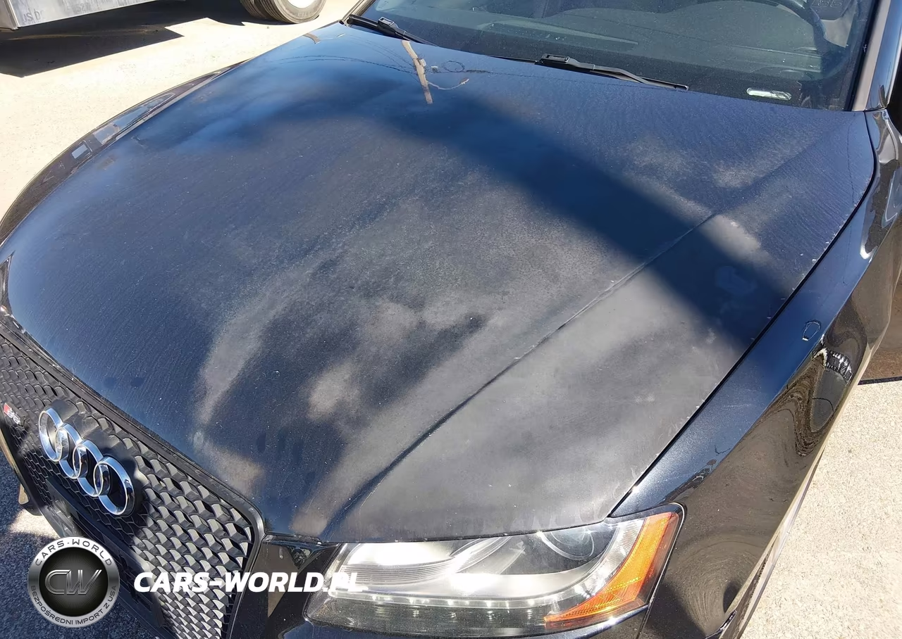 2009 Audi S5 4.2L VIN:WAURV78T09A043368 - 6