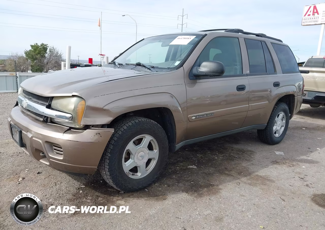 2002 Chevrolet Trailblazer Ls VIN:1GNDT13S822451302 - 2