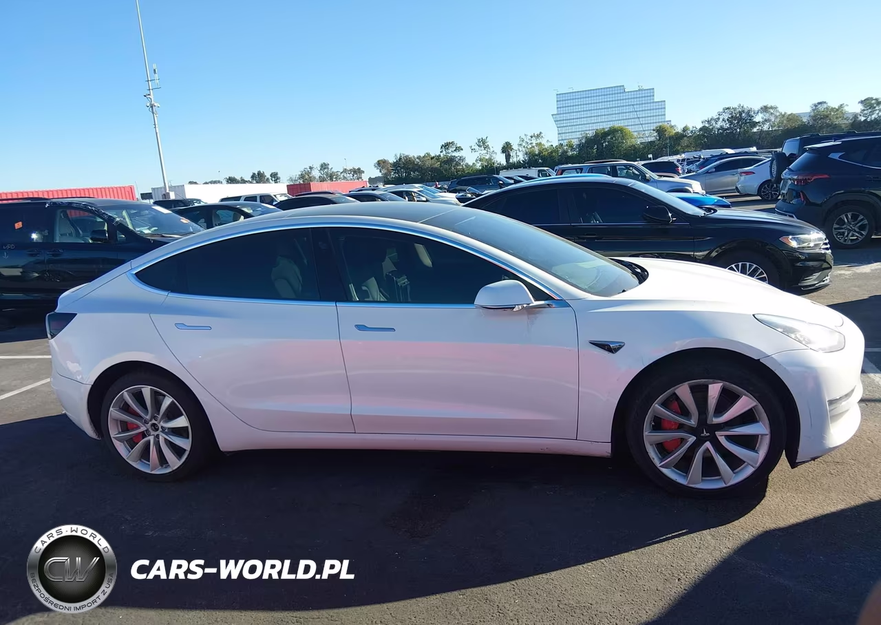 2019 Tesla Model 3 Long Range-Performance VIN:5YJ3E1EB0KF200007 - 13