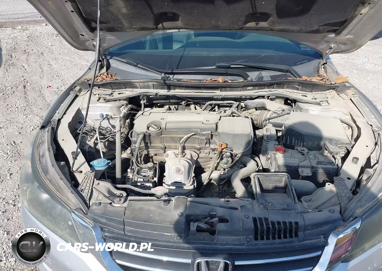 2014 Honda Accord Ex-L VIN:1HGCR2F89EA263960 - 10