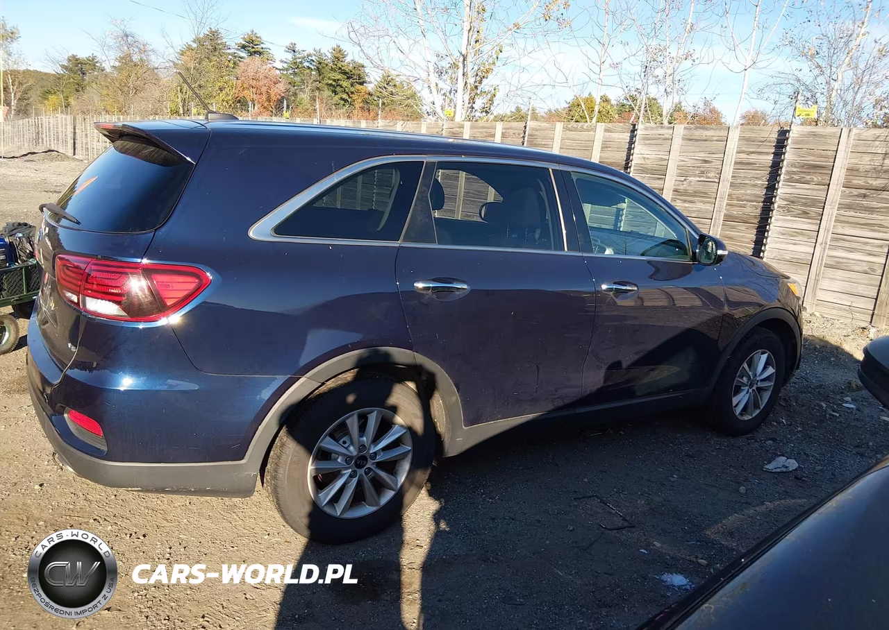 2020 Kia Sorento 3.3L Lx VIN:5XYPG4A52LG621525 - 13