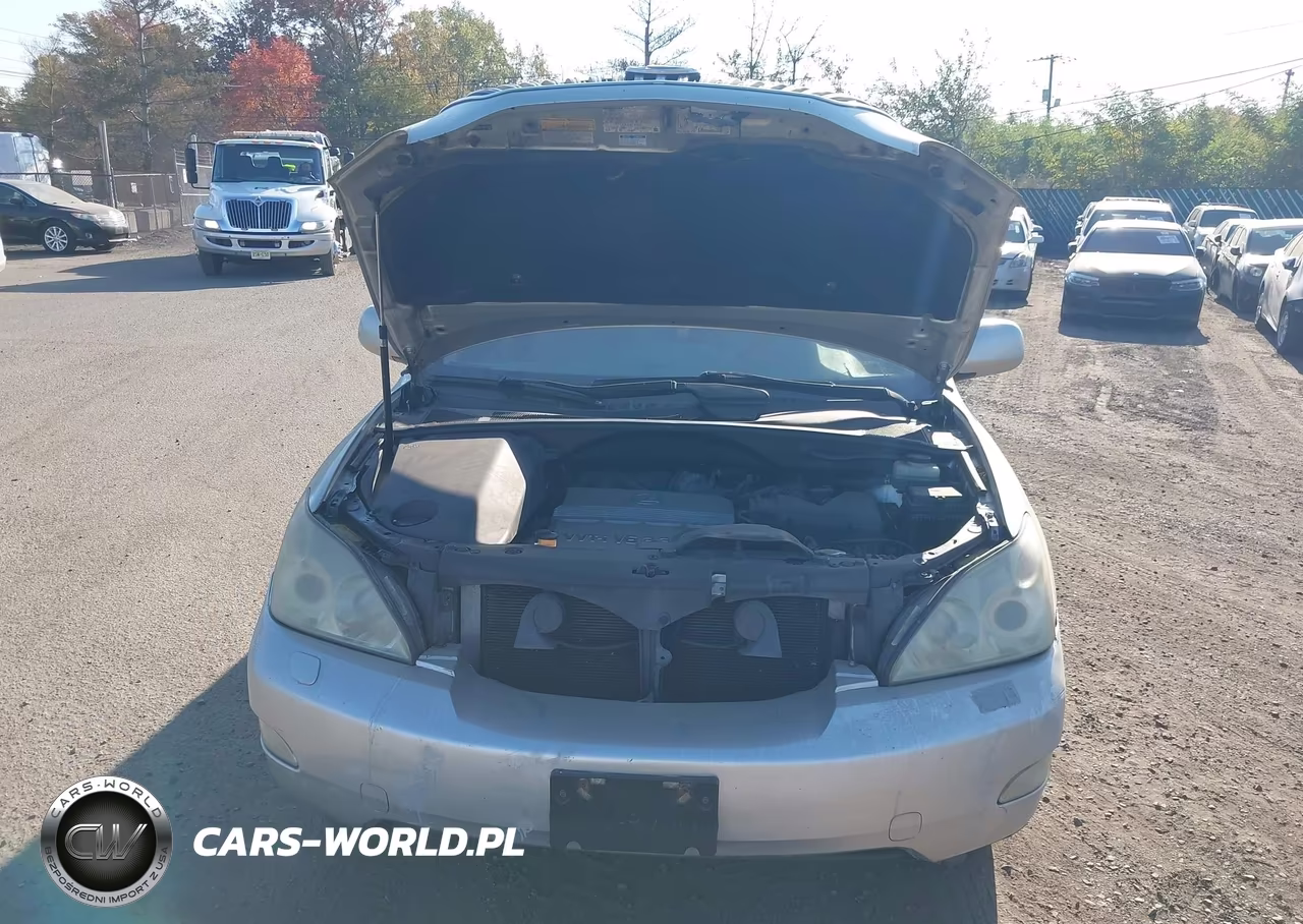 2004 Lexus Rx 330 VIN:JTJHA31U440003201 - 10