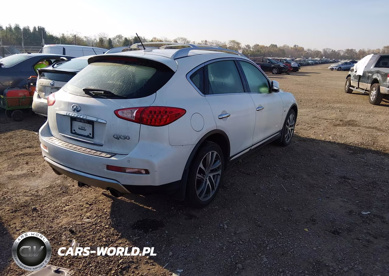 2017 Infiniti Qx50 VIN:JN1BJ0RR4HM404658 - 4