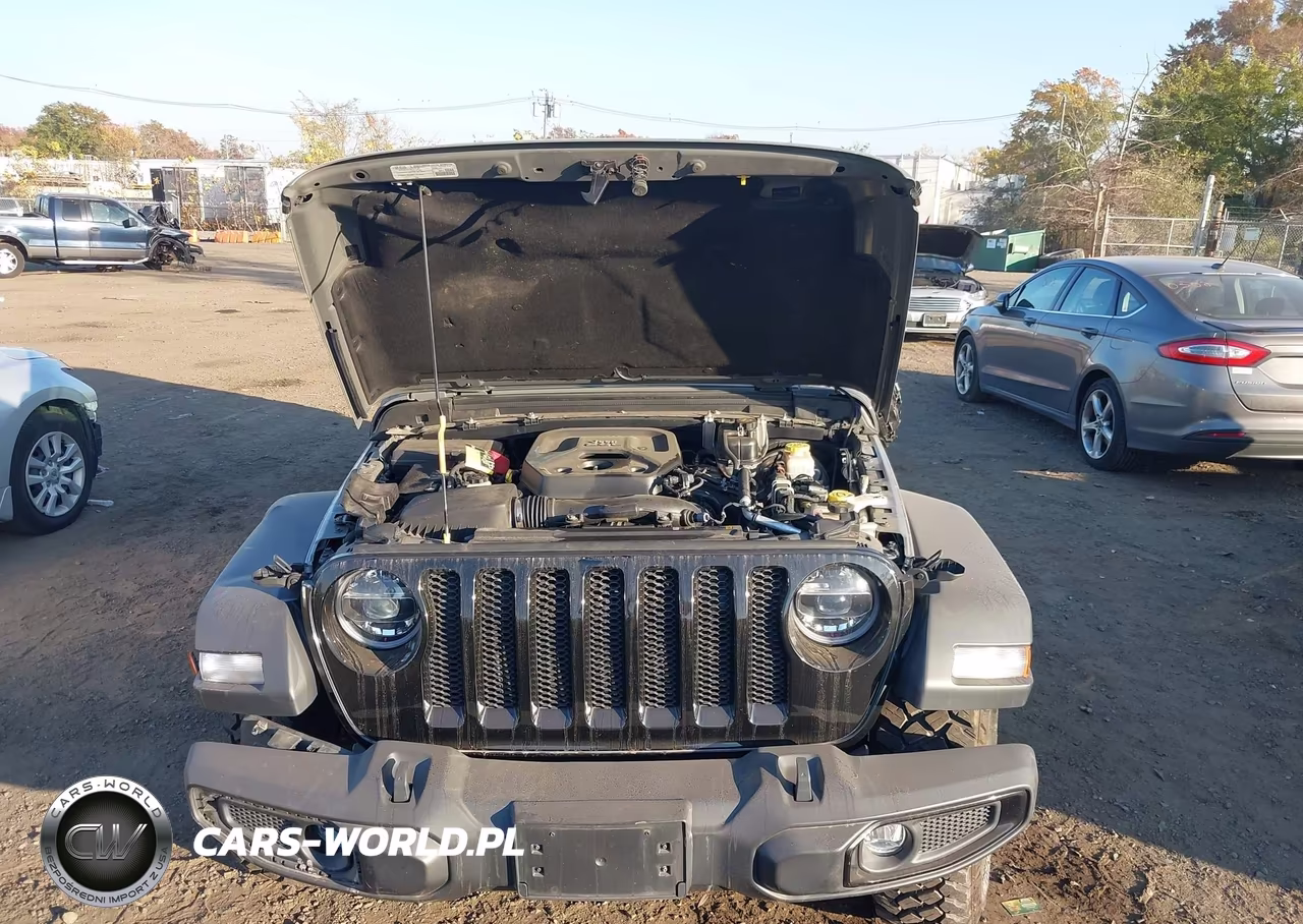 2021 Jeep Wrangler Unlimited Willys 4X4 VIN:1C4HJXDN6MW856260 - 10