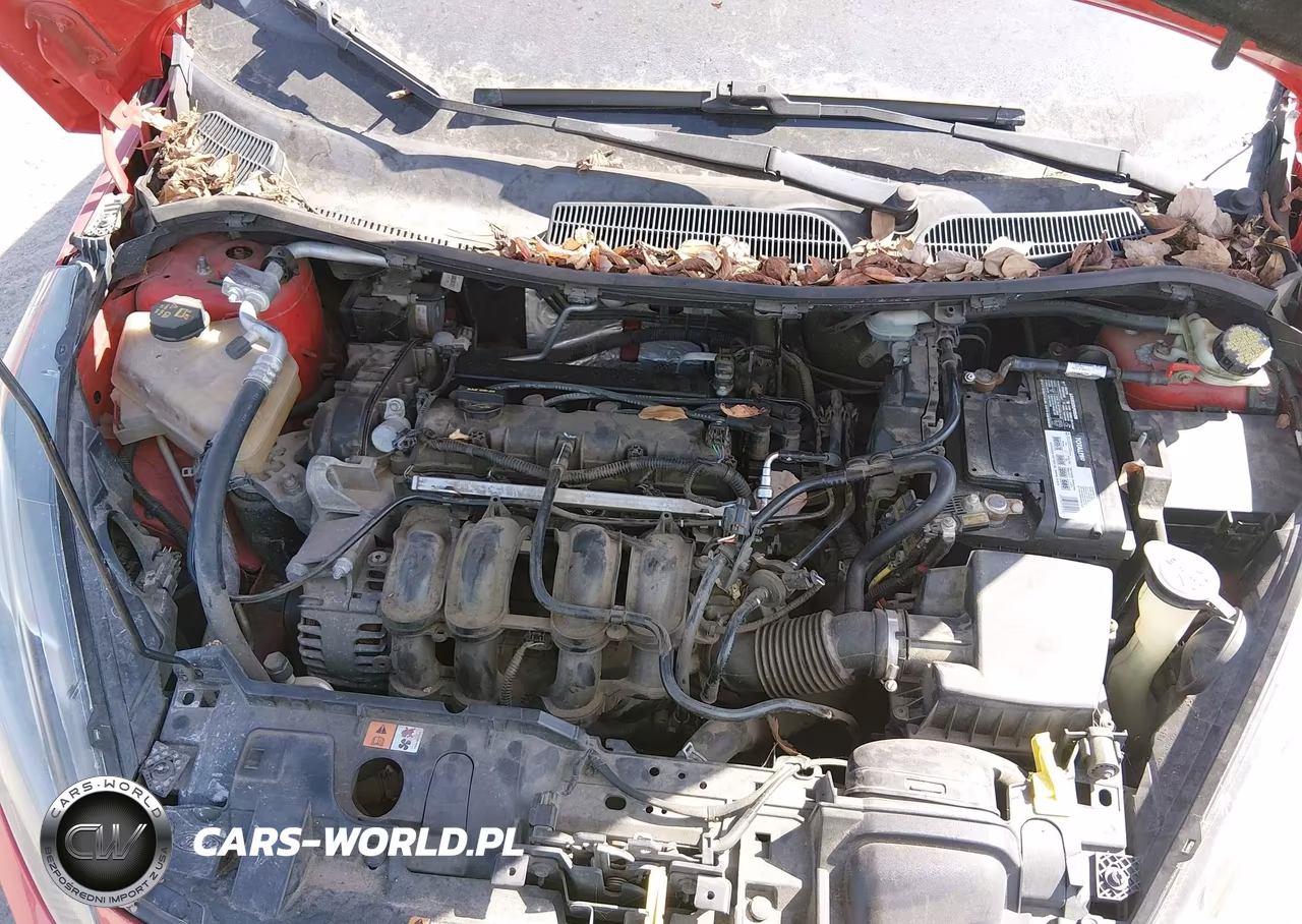 2015 Ford Fiesta Se VIN:3FADP4EJ7FM107855 - 10