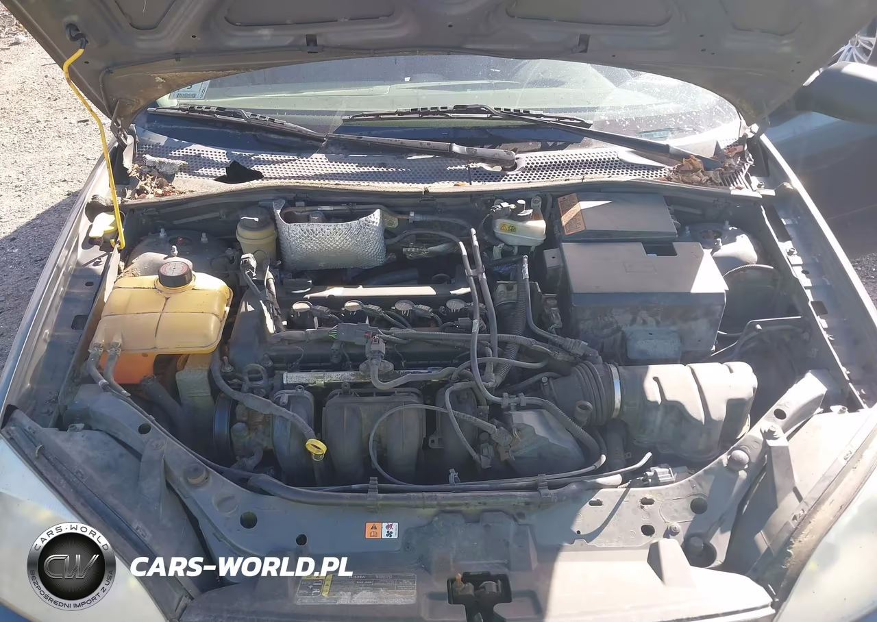 2005 Ford Focus Zxw VIN:1FAHP36N15W138725 - 10