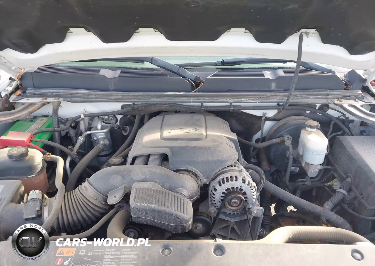 2012 Chevrolet Silverado 1500 Work Truck VIN:1GCNKPE05CZ148341 - 10
