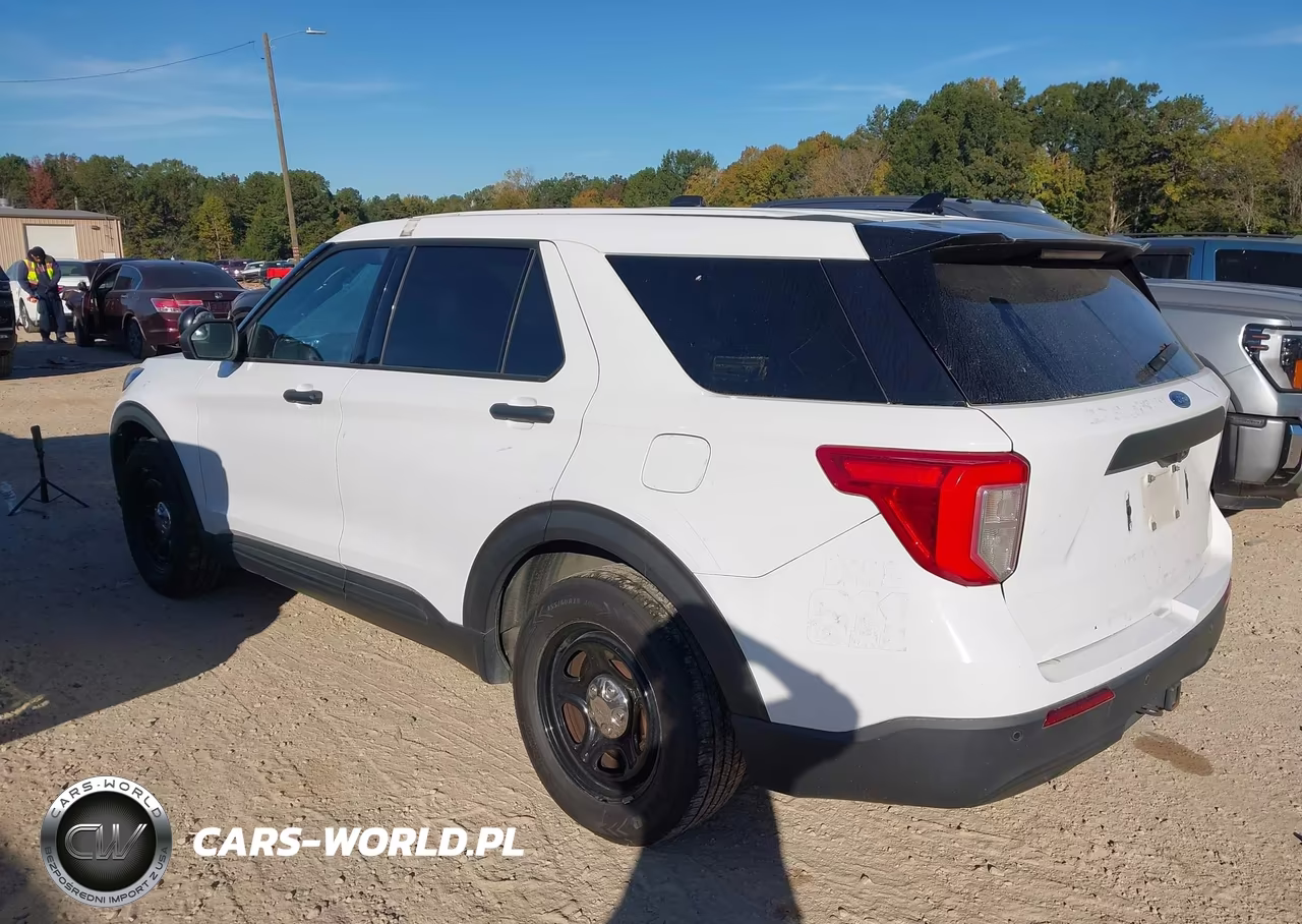 2020 Ford Police Interceptor Utility VIN:1FM5K8AB6LGC64054 - 3
