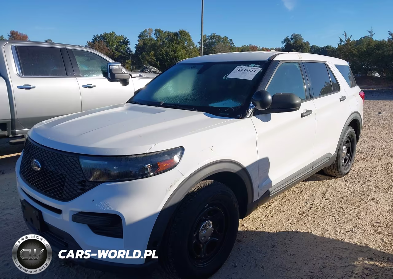 2020 Ford Police Interceptor Utility VIN:1FM5K8AB6LGC64054 - 6