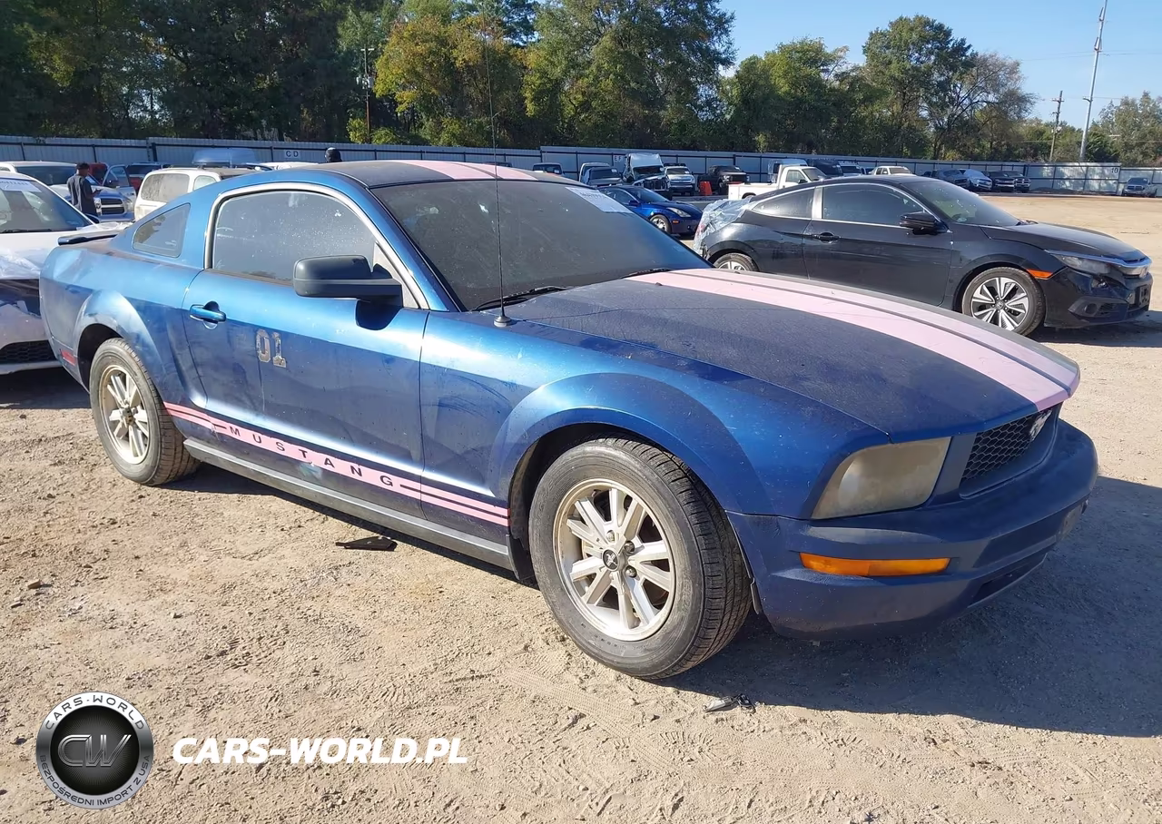 2008 Ford Mustang V6 Deluxe-V6 Premium VIN:1ZVHT80NX85138256 - 1