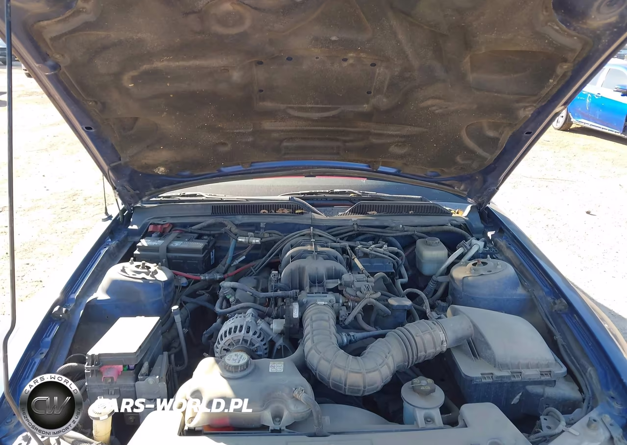 2008 Ford Mustang V6 Deluxe-V6 Premium VIN:1ZVHT80NX85138256 - 10