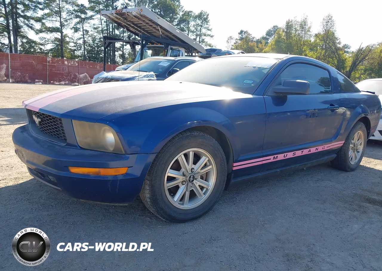 2008 Ford Mustang V6 Deluxe-V6 Premium VIN:1ZVHT80NX85138256 - 2