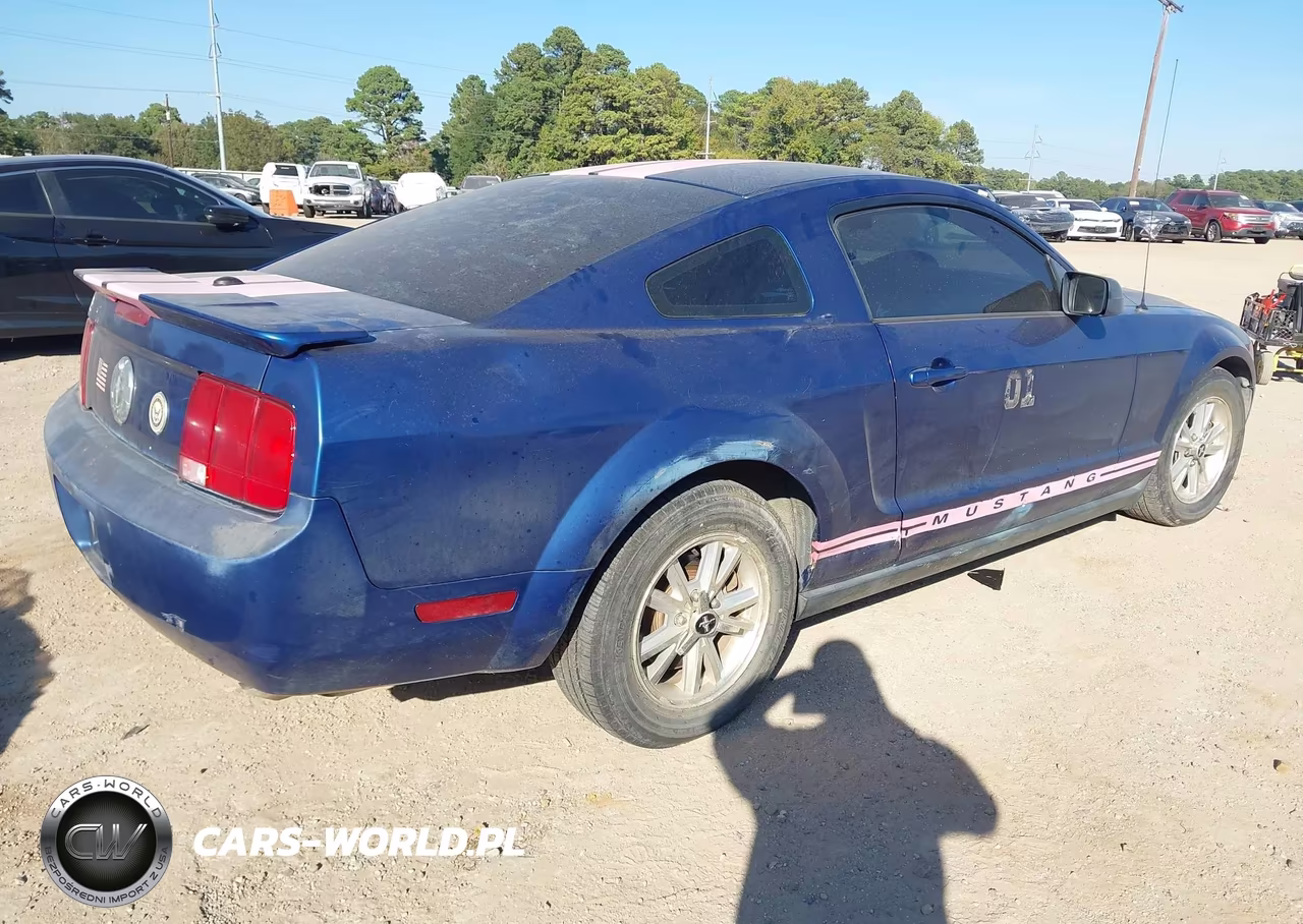 2008 Ford Mustang V6 Deluxe-V6 Premium VIN:1ZVHT80NX85138256 - 4