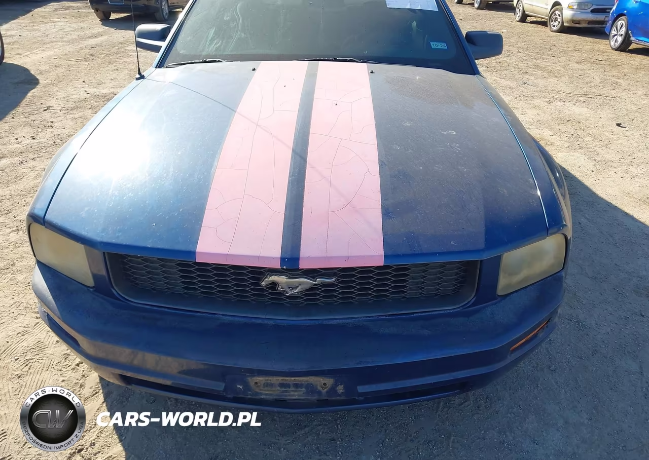 2008 Ford Mustang V6 Deluxe-V6 Premium VIN:1ZVHT80NX85138256 - 6