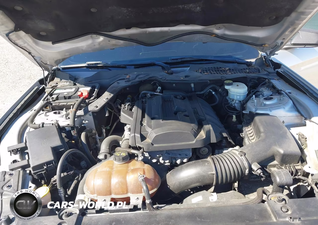 2017 Ford Mustang Ecoboost VIN:1FA6P8TH2H5204809 - 10