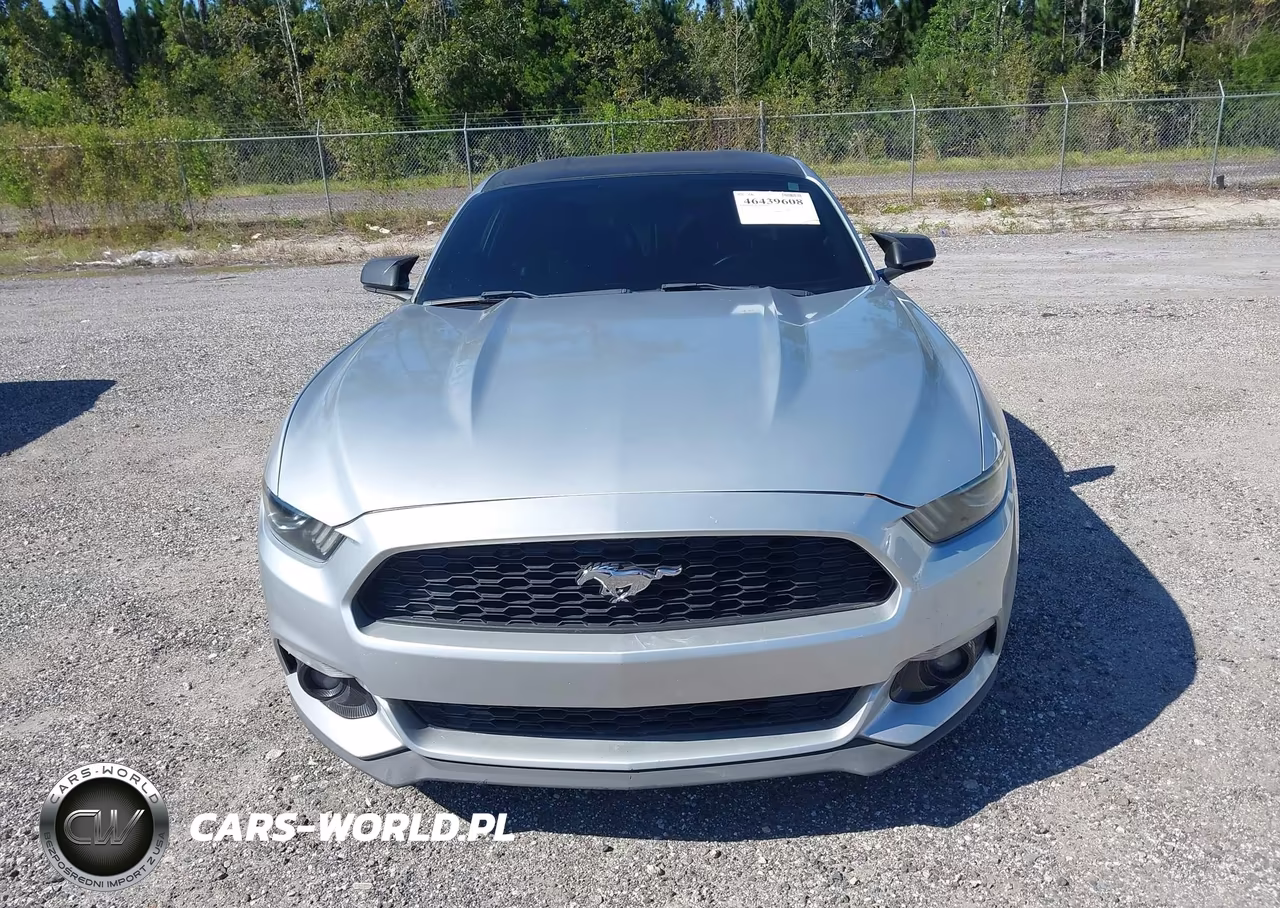 2017 Ford Mustang Ecoboost VIN:1FA6P8TH2H5204809 - 12