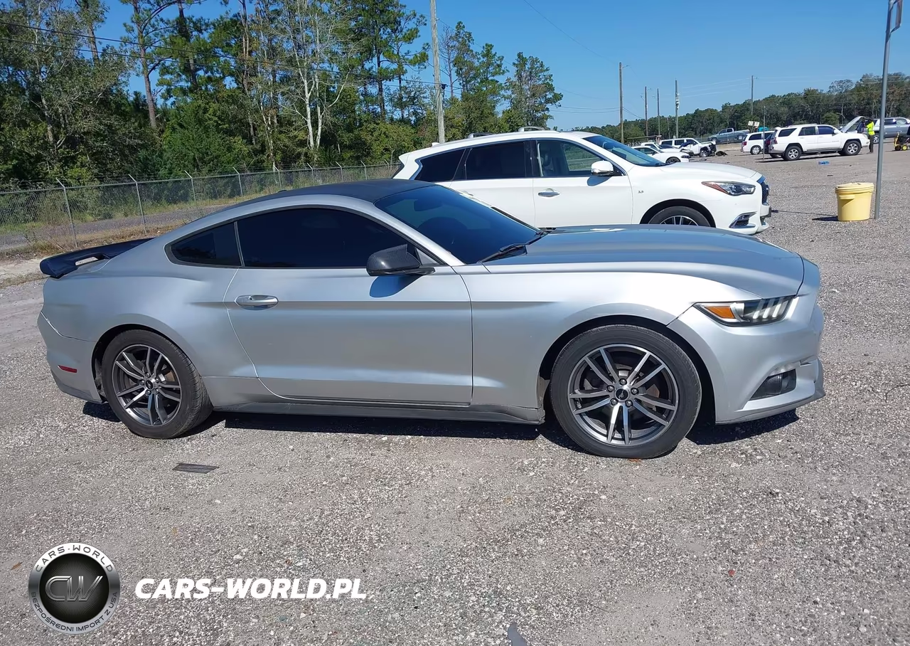 2017 Ford Mustang Ecoboost VIN:1FA6P8TH2H5204809 - 13