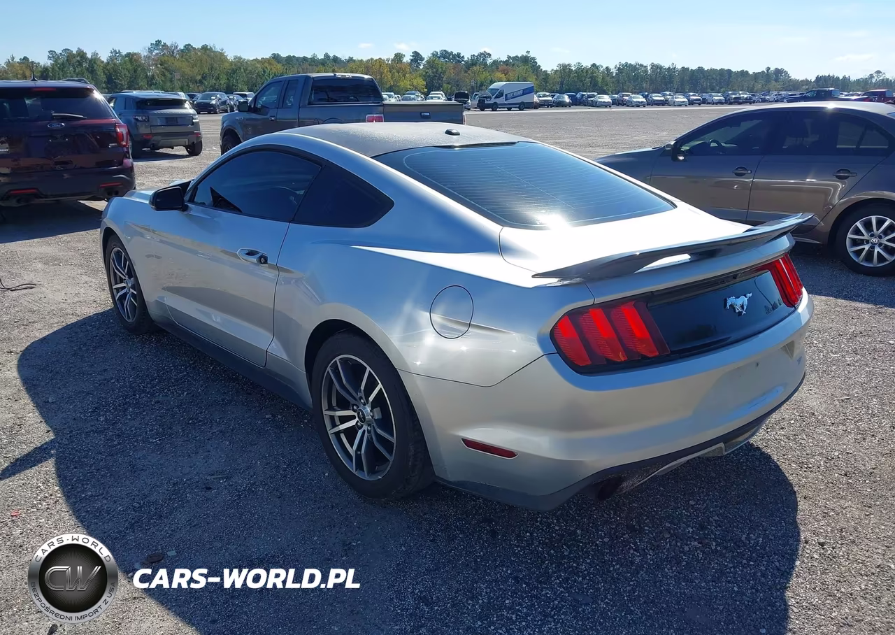 2017 Ford Mustang Ecoboost VIN:1FA6P8TH2H5204809 - 3