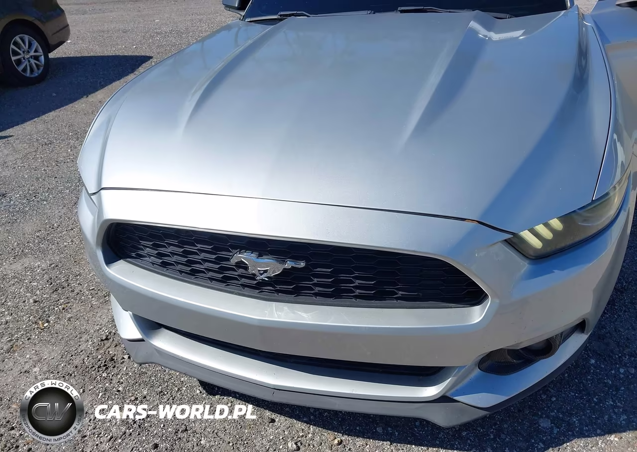 2017 Ford Mustang Ecoboost VIN:1FA6P8TH2H5204809 - 6