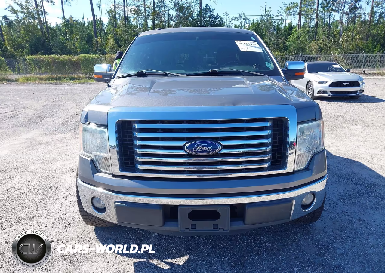 2011 Ford F-150 Xlt VIN:1FTFX1CF3BFA34459 - 12