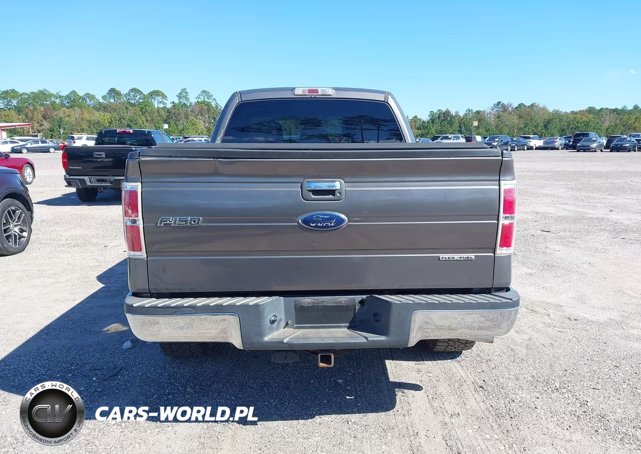 2011 Ford F-150 Xlt VIN:1FTFX1CF3BFA34459 - 16
