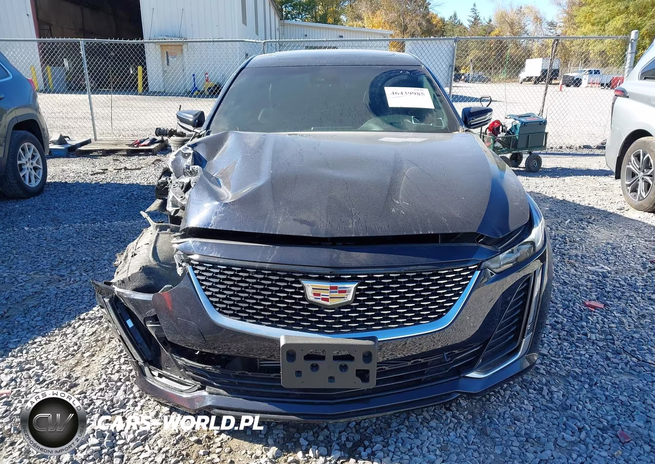 2021 Cadillac Ct5 Premium Luxury VIN:1G6DT5RK0M0128046 - 12