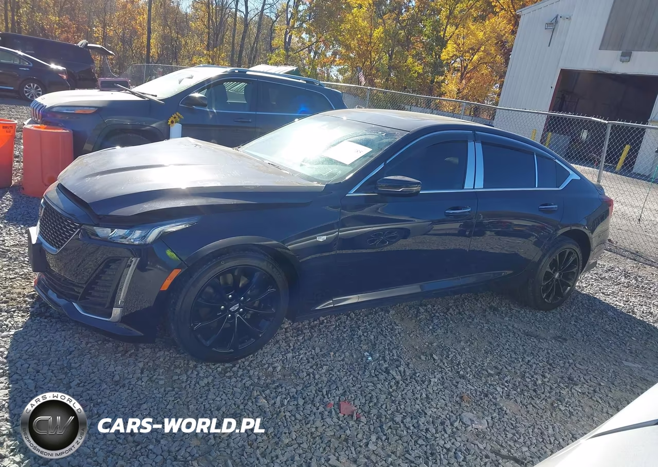2021 Cadillac Ct5 Premium Luxury VIN:1G6DT5RK0M0128046 - 14