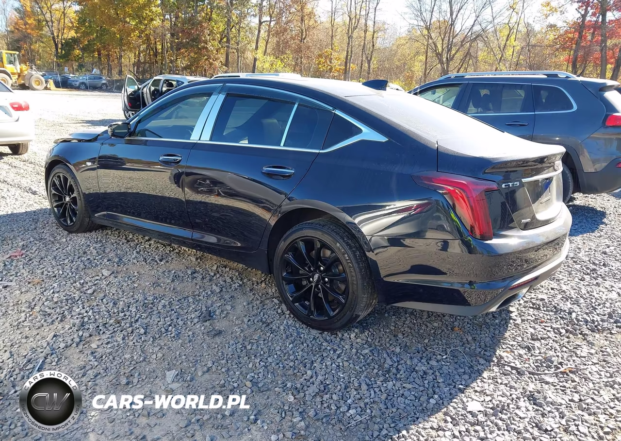 2021 Cadillac Ct5 Premium Luxury VIN:1G6DT5RK0M0128046 - 3