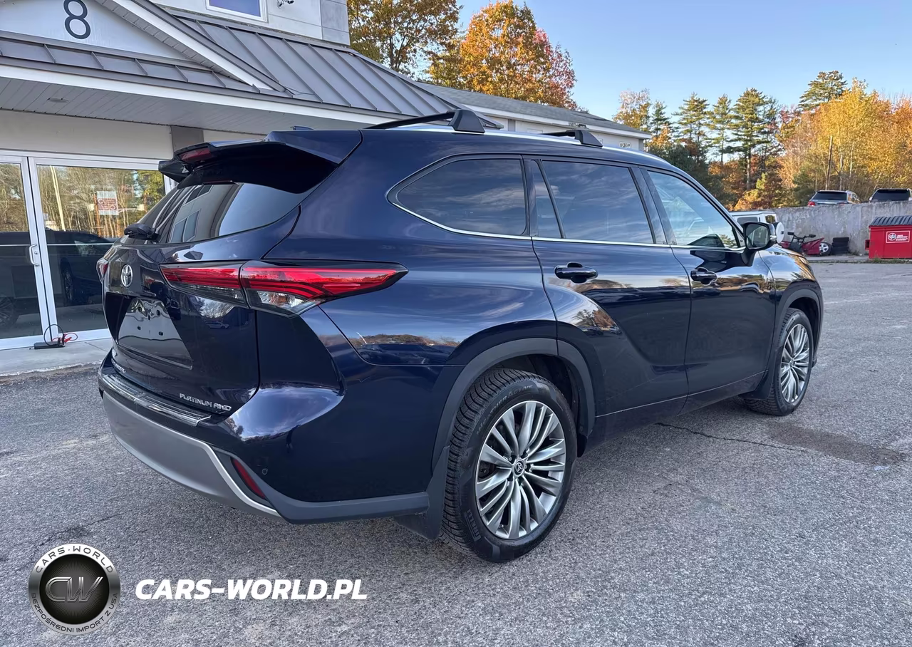 2020 Toyota Highlander Platinum VIN:5TDFZRBH2LS036135 - 4