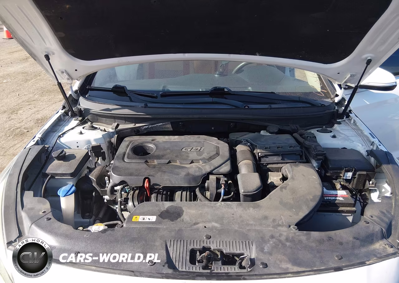 2017 Hyundai Sonata Sport VIN:5NPE34AF8HH505998 - 10