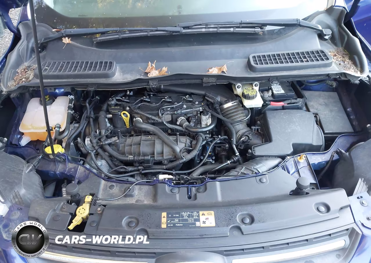 2014 Ford Escape Se VIN:1FMCU0GX7EUC00633 - 10