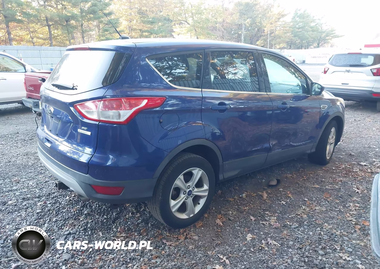 2014 Ford Escape Se VIN:1FMCU0GX7EUC00633 - 4