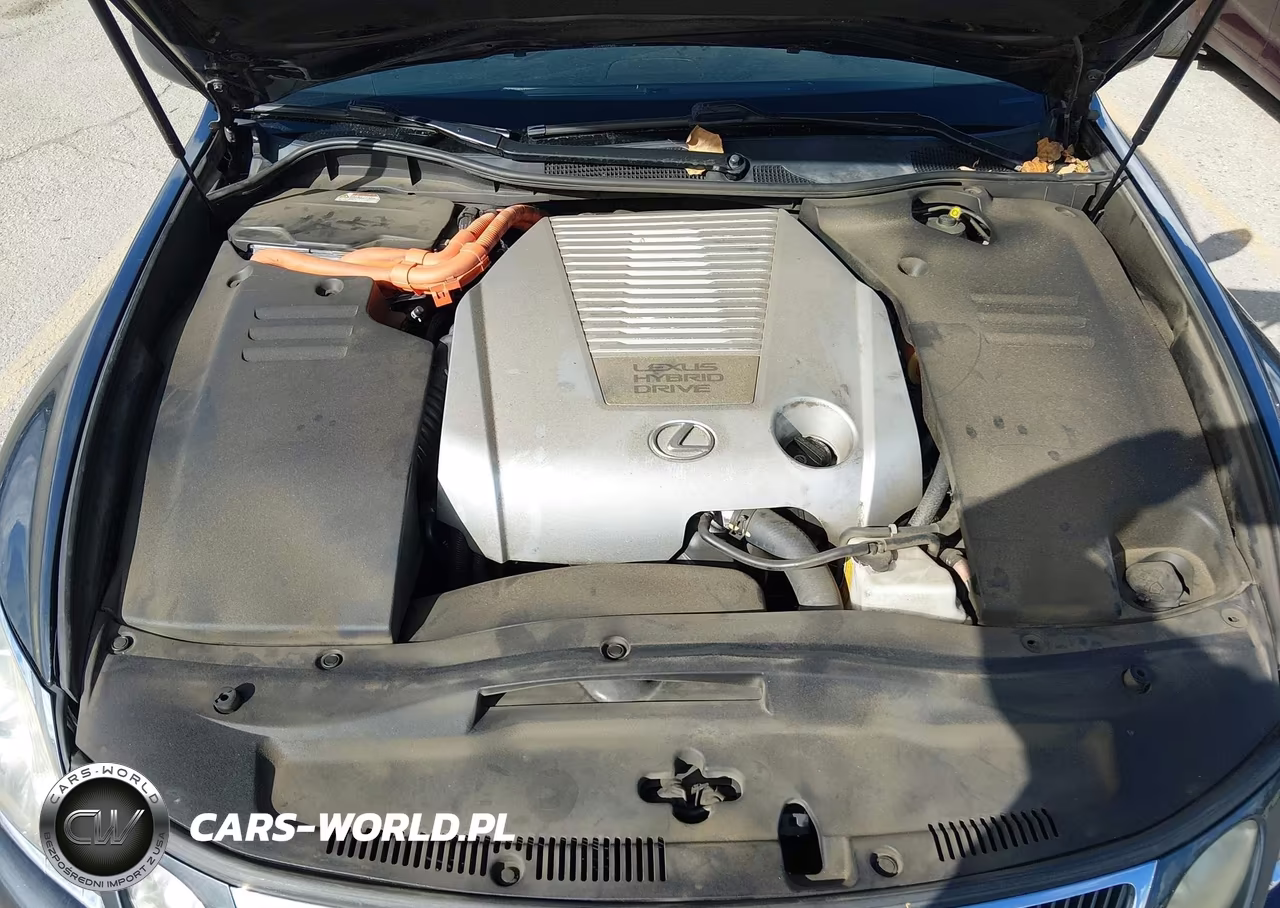 2007 Lexus Gs 450H VIN:JTHBC96S975010602 - 10