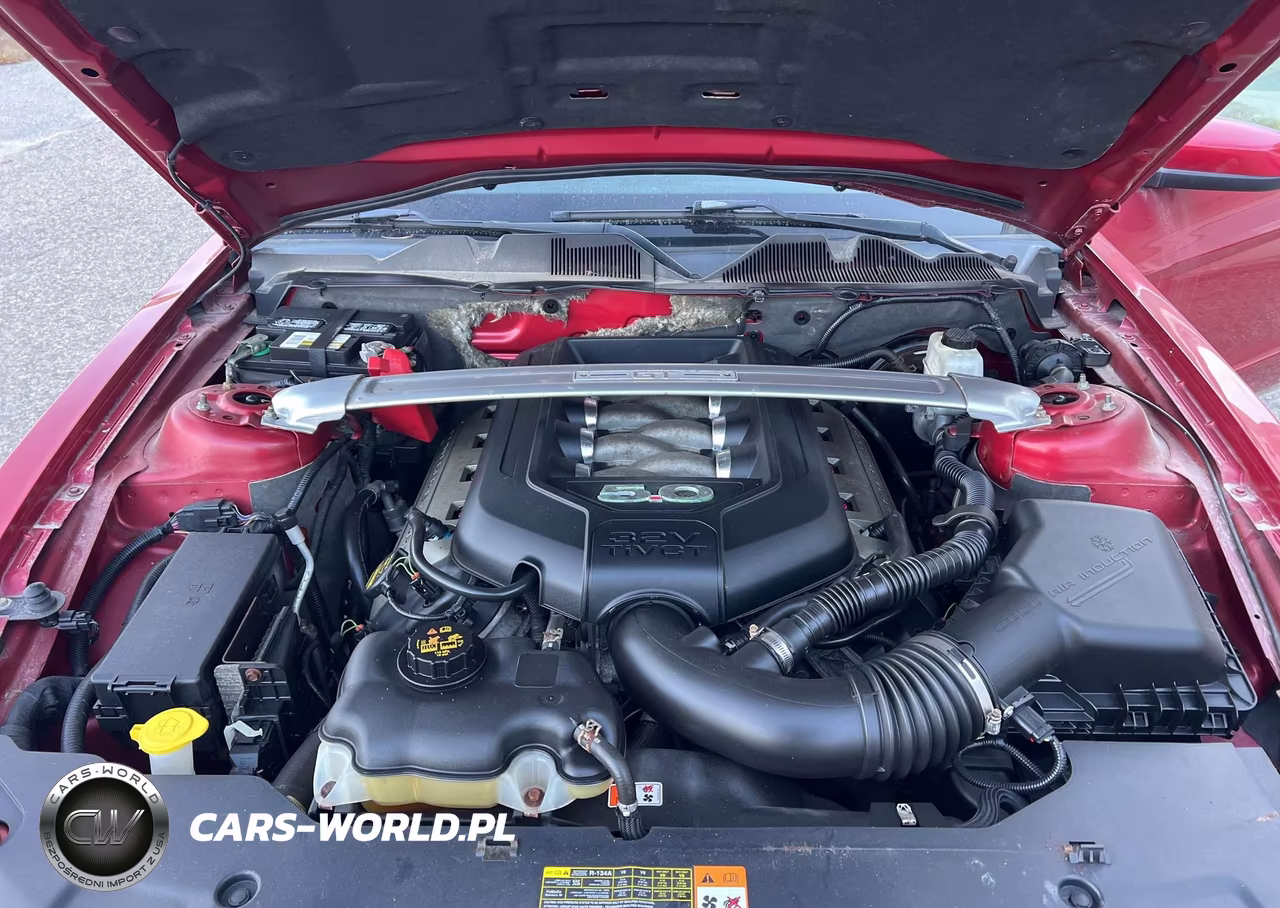 2012 Ford Mustang Gt Premium VIN:1ZVBP8CF7C5204169 - 10