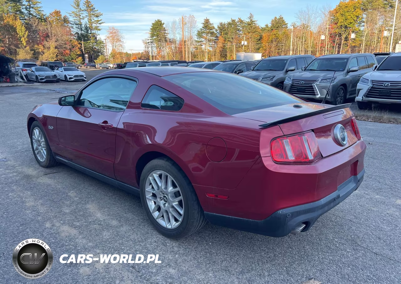 2012 Ford Mustang Gt Premium VIN:1ZVBP8CF7C5204169 - 3